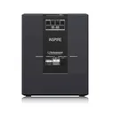 TURBOSOUND IP15B активный сабвуфер
